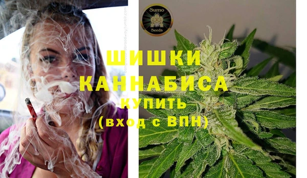 амф Богородицк