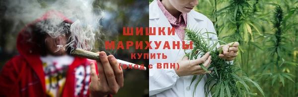амф Богородицк