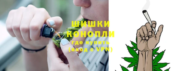 амф Богородицк
