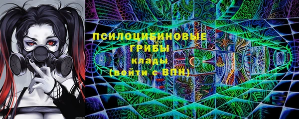 а пвп мука Богданович