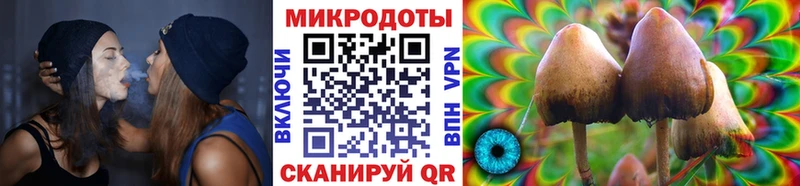 Галлюциногенные грибы Cubensis  сайты даркнета Telegram  Котельниково  магазин продажи наркотиков 